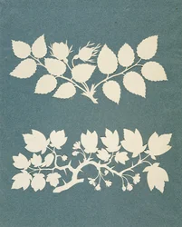 A Rose Branch and Jasmin Branch